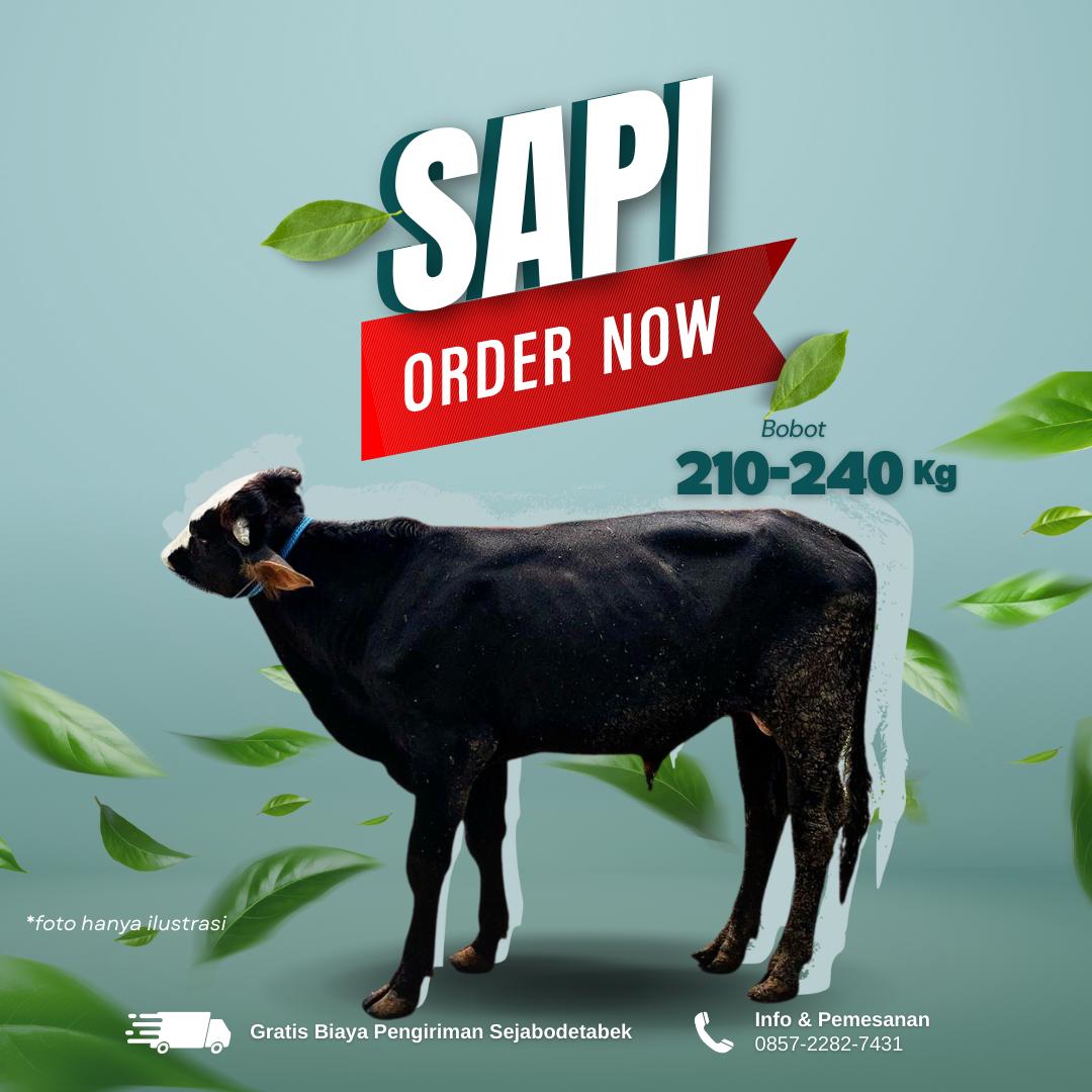 sapi order