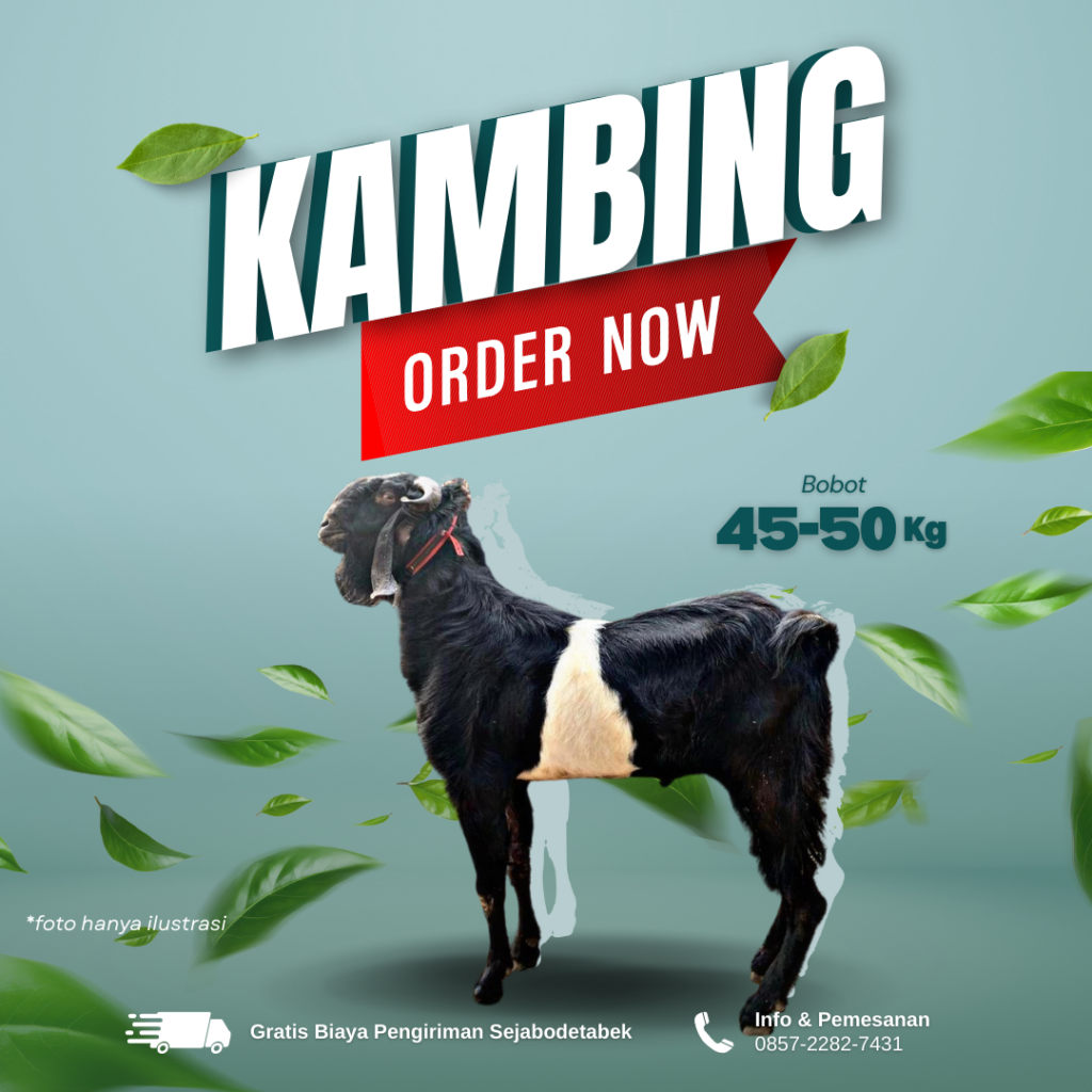 Kambing