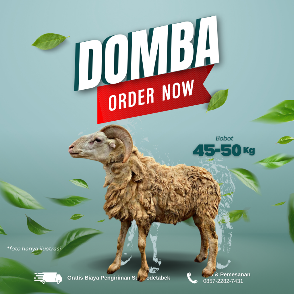 domba