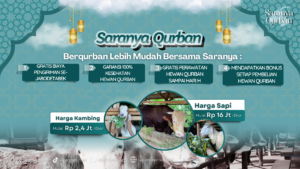 benefit saranya